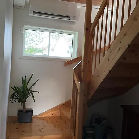 Rented In Vm 2025