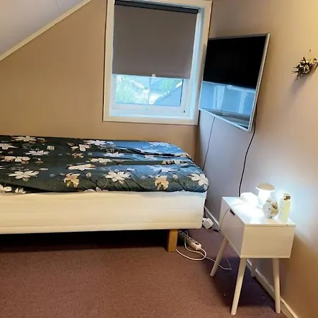 Rented In Vm 2025 * Trondheim
